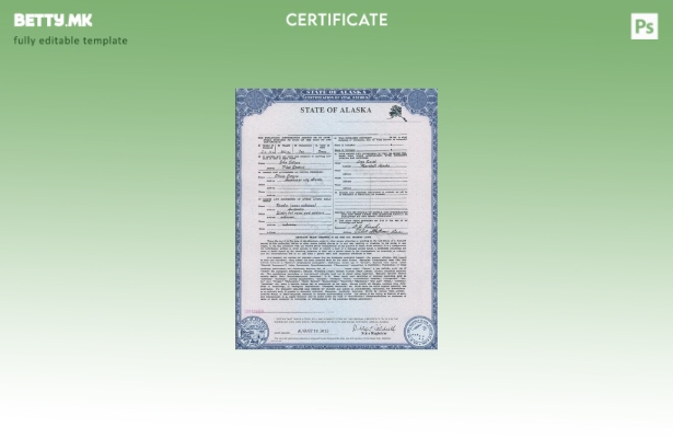 модерен стил, шаблон за извод од матична книга на родените на државата Алјаска в